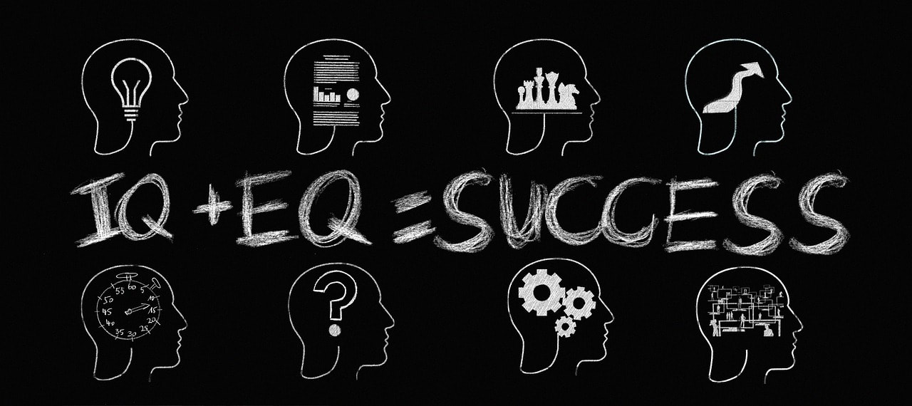 Combination between IQ and EQ is very important for people how to be success